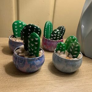 Original Cactus Decor 🌵